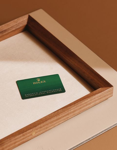 rolex-servicing-elmt 2603fg 011-landscape