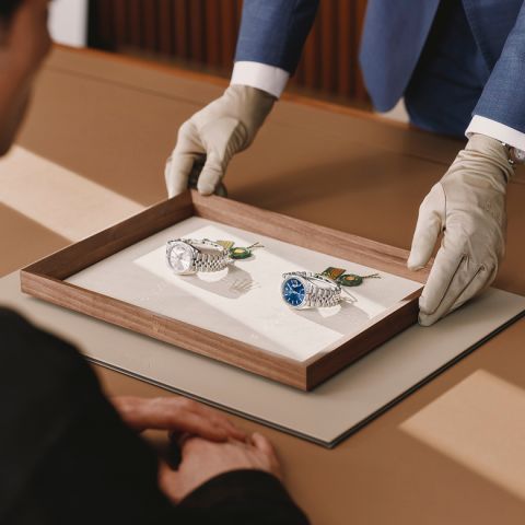 discover-rolex-message-elmt 2603fg 041landscape