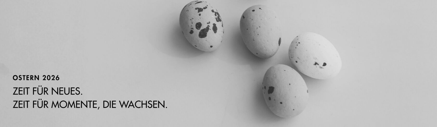 blog_banner_3840x1120px